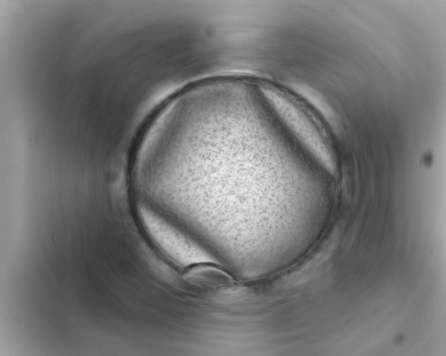 X0000102401452200808151932