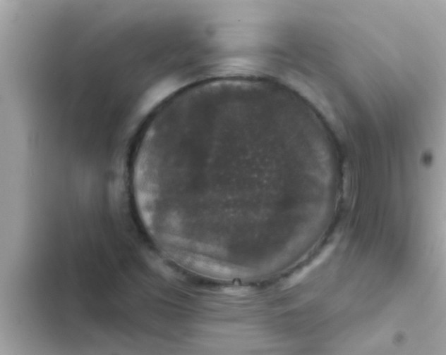 X0000102401453200808151932