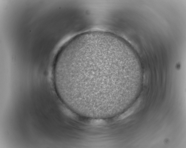 X0000102401454200808151932