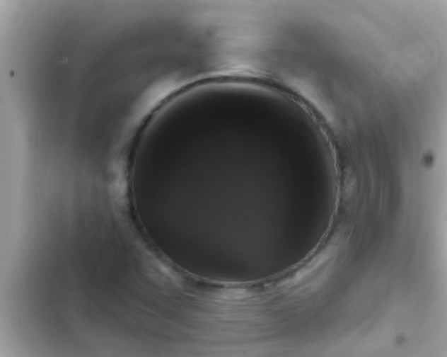 X0000102401455200808151932