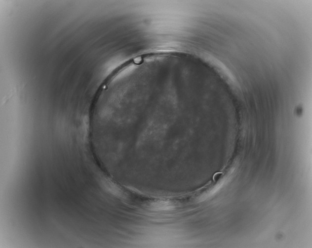 X0000102401457200808151932