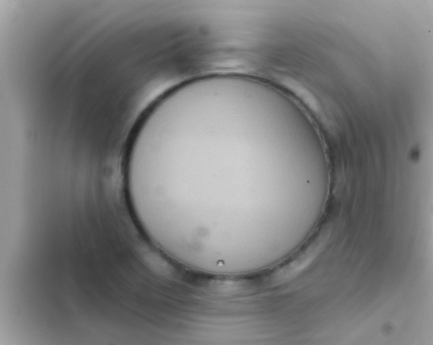 X0000102401458200808151932