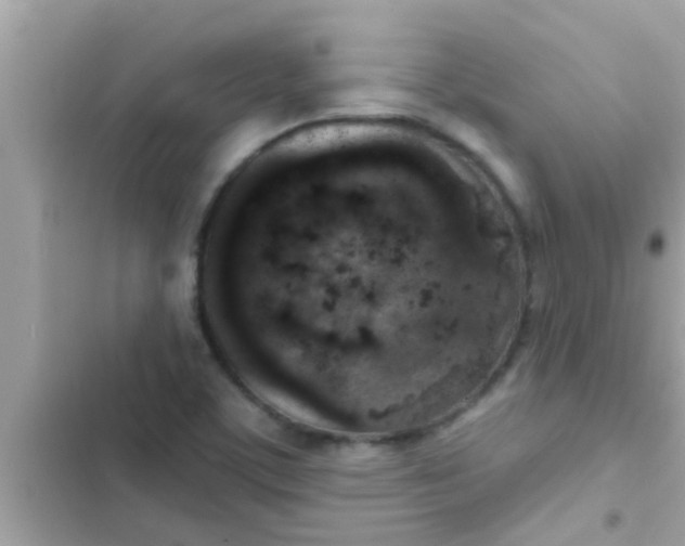 X0000102401459200808151932