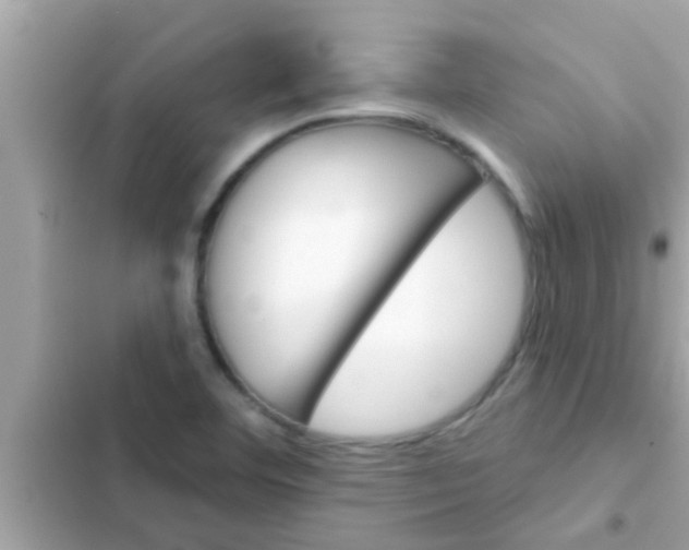 X0000102401460200808151932