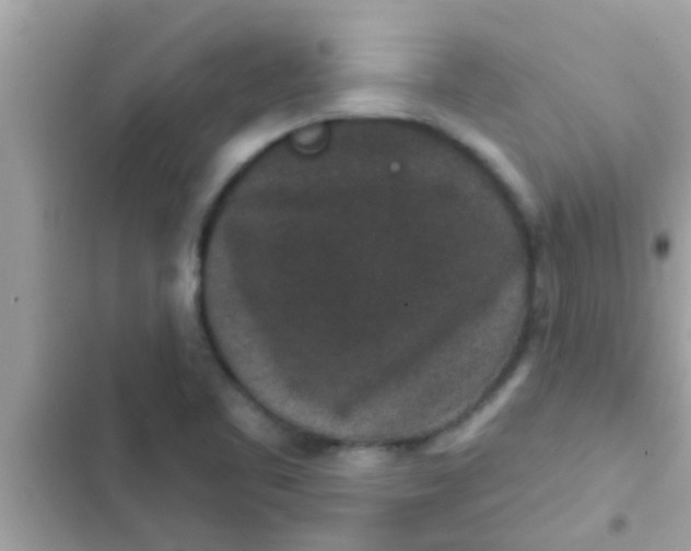 X0000102401461200808151932