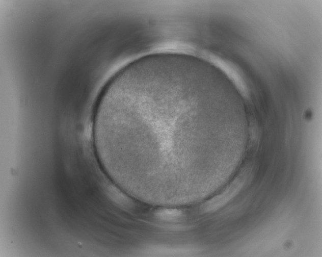 X0000102401462200808151932