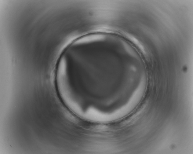 X0000102401463200808151932