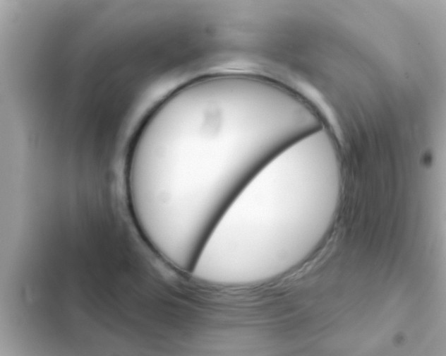 X0000102401464200808151932