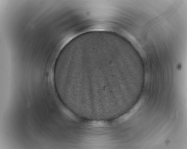 X0000102401465200808151932