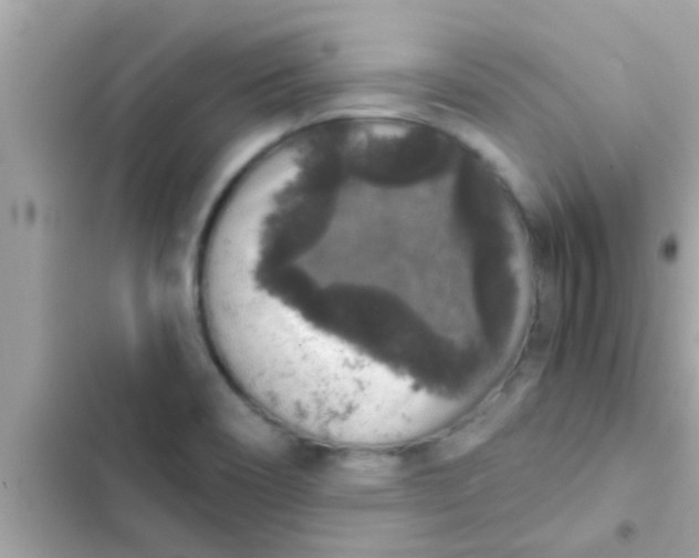 X0000102401466200808151932