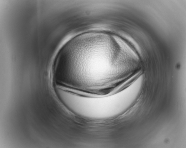 X0000102401467200808151932