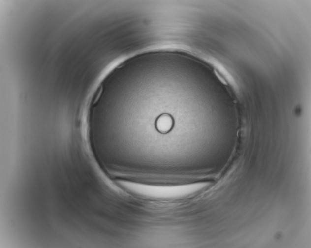 X0000102401468200808151932