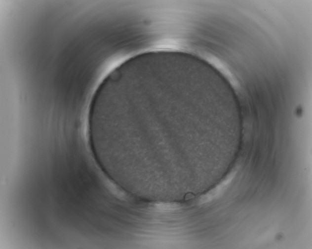 X0000102401469200808151932