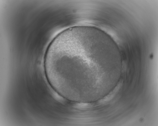 X0000102401470200808151932