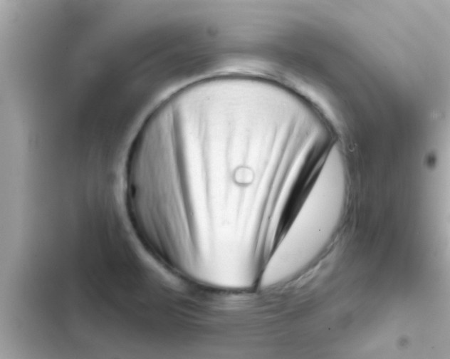 X0000102401471200808151932