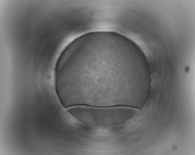 X0000102401472200808151932