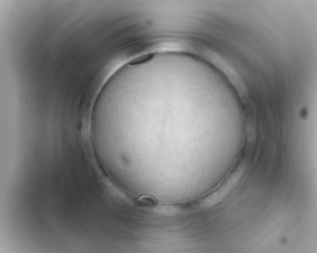 X0000102401473200808151932