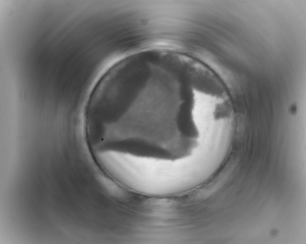 X0000102401474200808151932