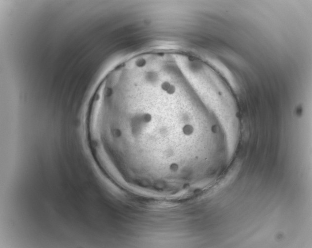 X0000102401475200808151932