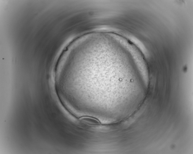 X0000102401476200808151932