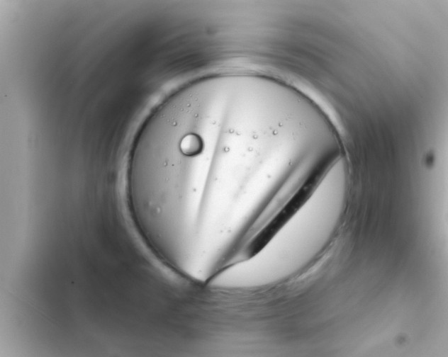 X0000102401477200808151932