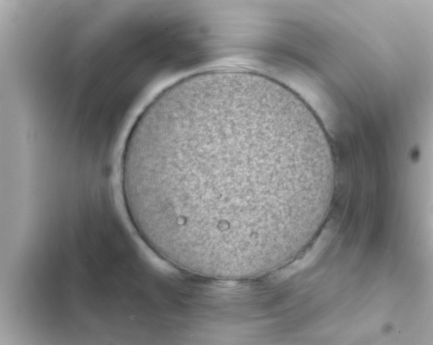 X0000102401478200808151932