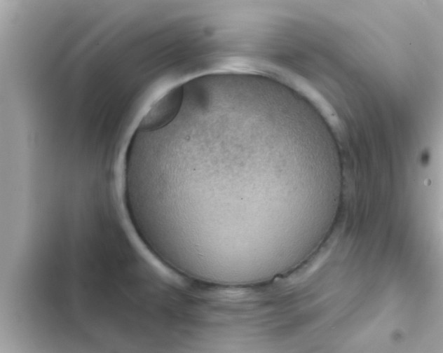 X0000102401479200808151932