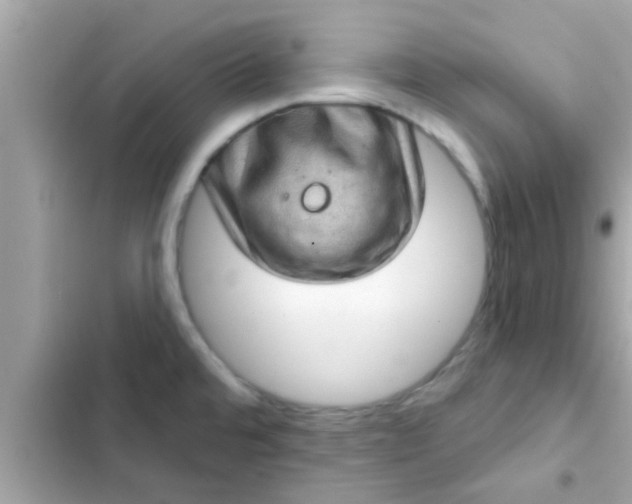 X0000102401480200808151932