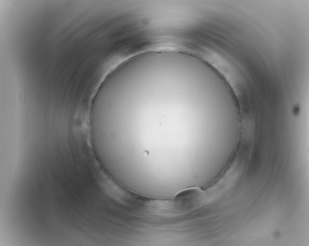 X0000102401481200808151932