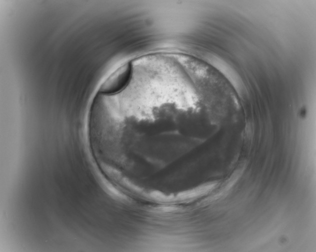 X0000102401482200808151932