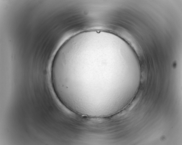 X0000102401483200808151932