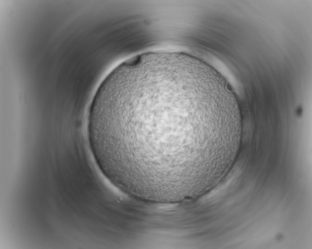 X0000102401484200808151932