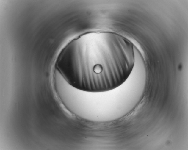 X0000102401485200808151932