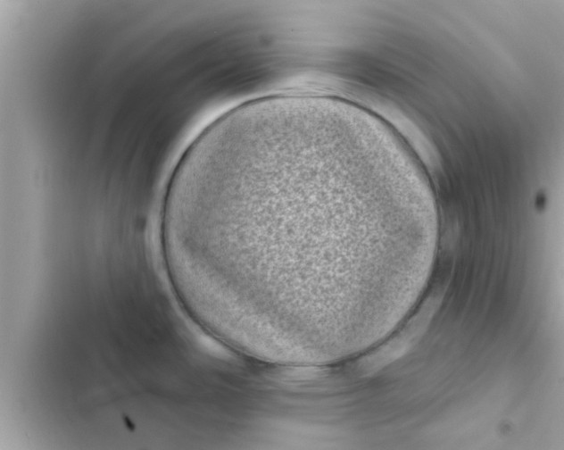 X0000102401486200808151932