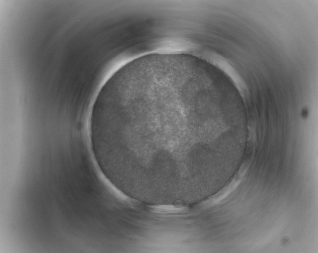 X0000102401487200808151932