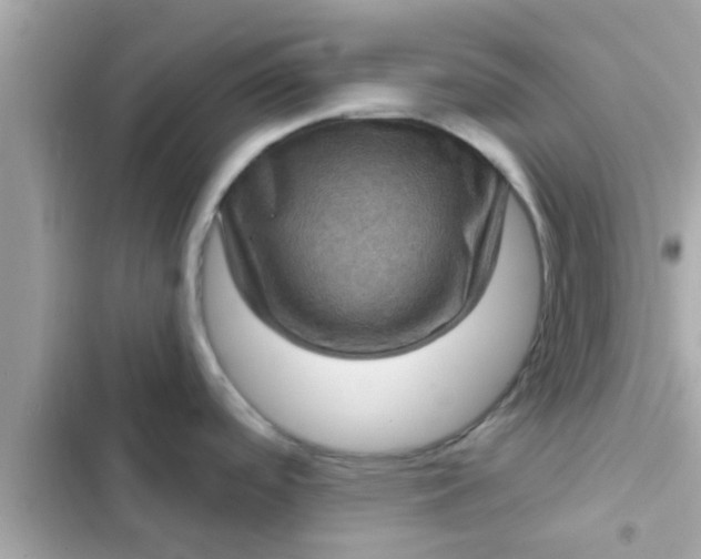 X0000102401488200808151932