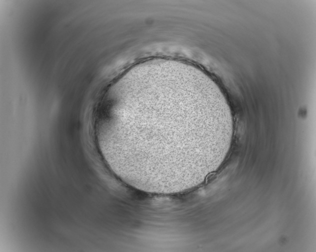 X0000102401489200808151931