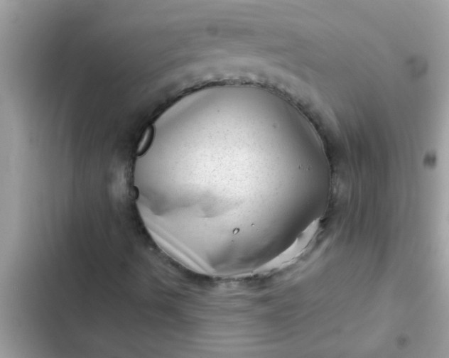 X0000102401490200808151931