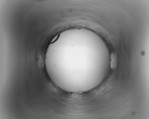 X0000102401491200808151931