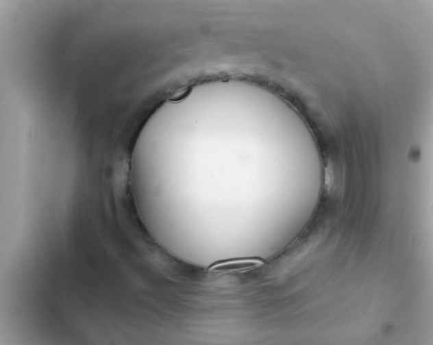 X0000102401492200808151931