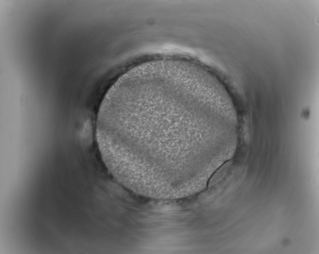 X0000102401493200808151931