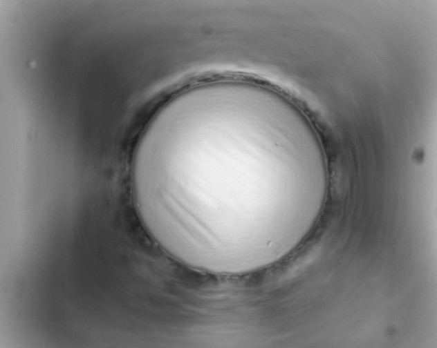 X0000102401494200808151931