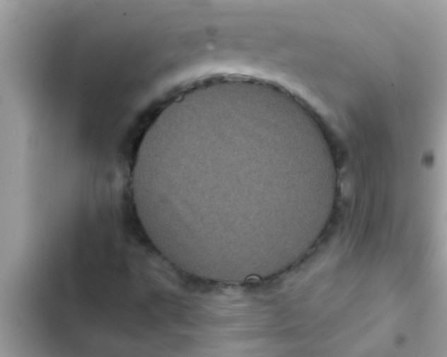 X0000102401495200808151931