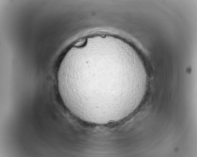 X0000102401496200808151931