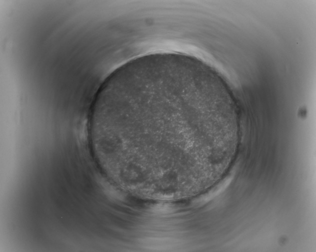 X0000102401497200808151931