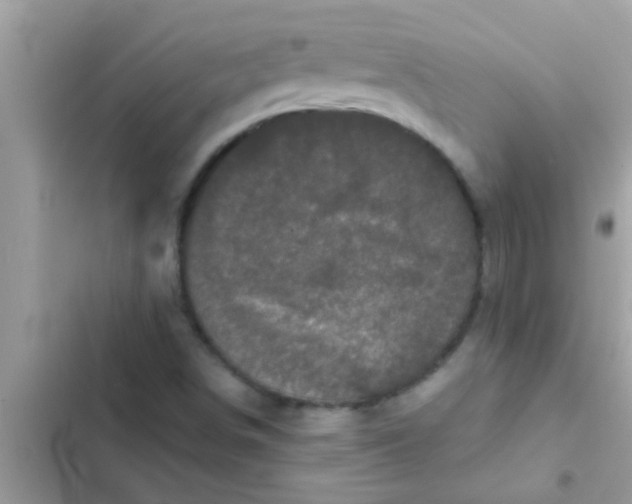 X0000102401498200808151931