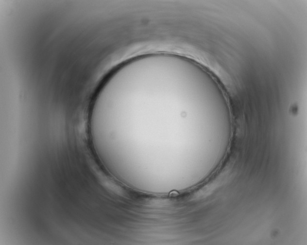 X0000102401499200808151931