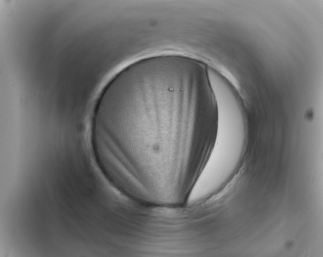 X0000102401500200808151931