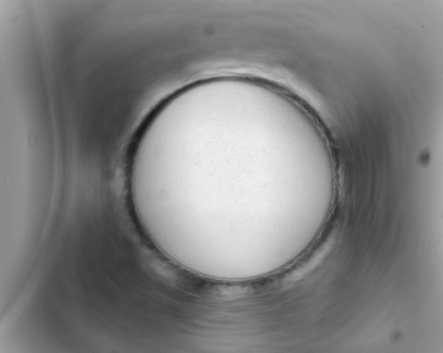 X0000102401501200808151931