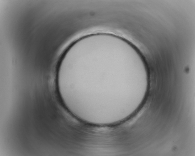 X0000102401502200808151932